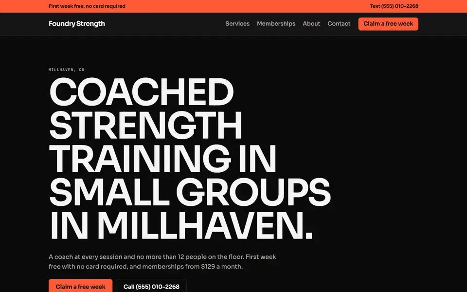 Gyms & Fitness Studios website in the Mono Neon design