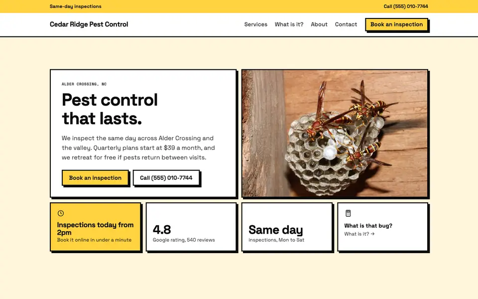 Pest Control website in the Neo-Brutalist design