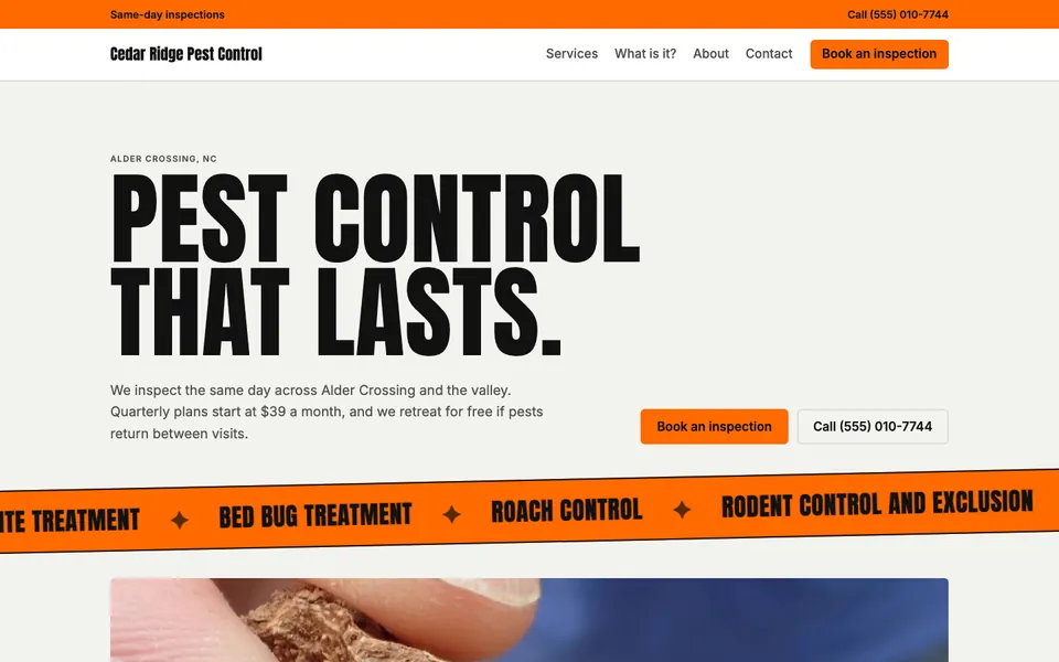 Pest Control website in the Kinetic Type design