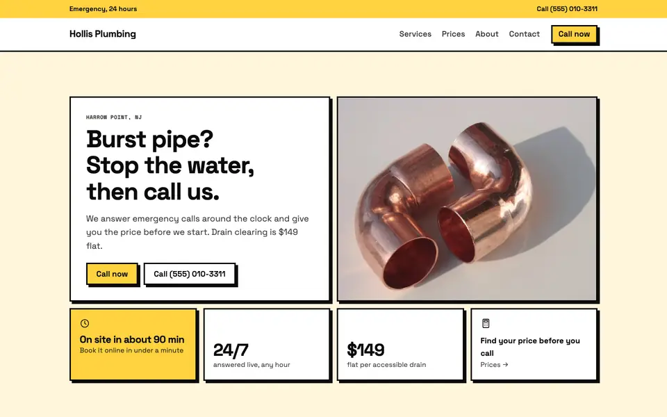 Plumbers website in the Neo-Brutalist design