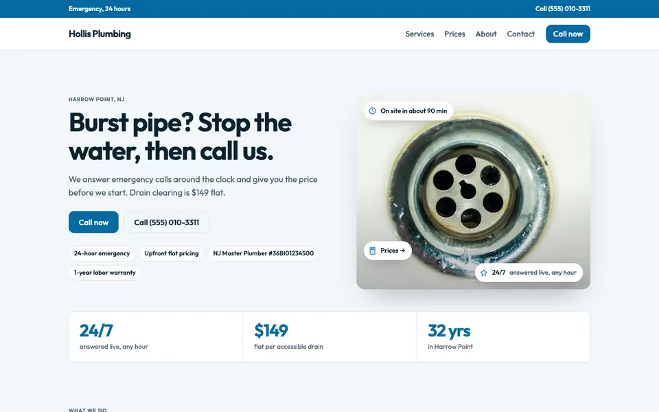 Plumbers website in the Modern design