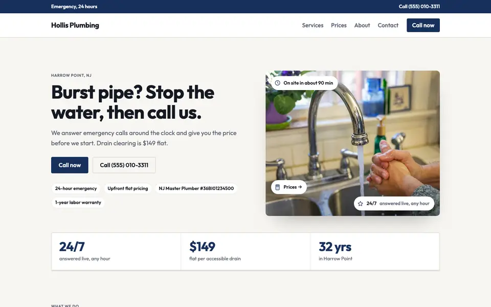 Plumbers website in the Utility design
