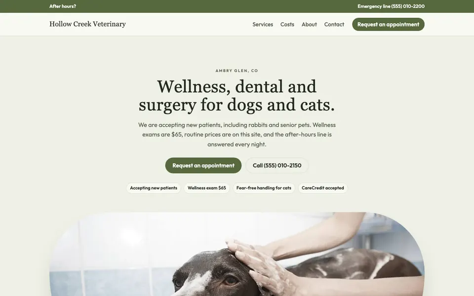 Veterinarians website in the Boutique design